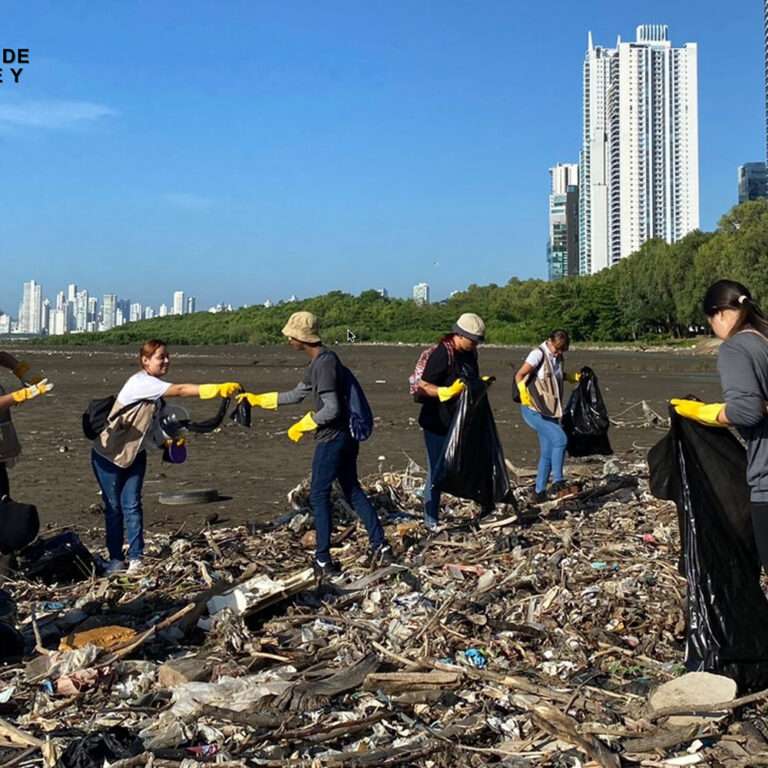 Programa de Arborización para el Arbolado Urbano